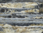 Salmon River